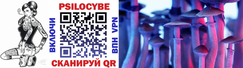 Галлюциногенные грибы Psilocybe Северодвинск